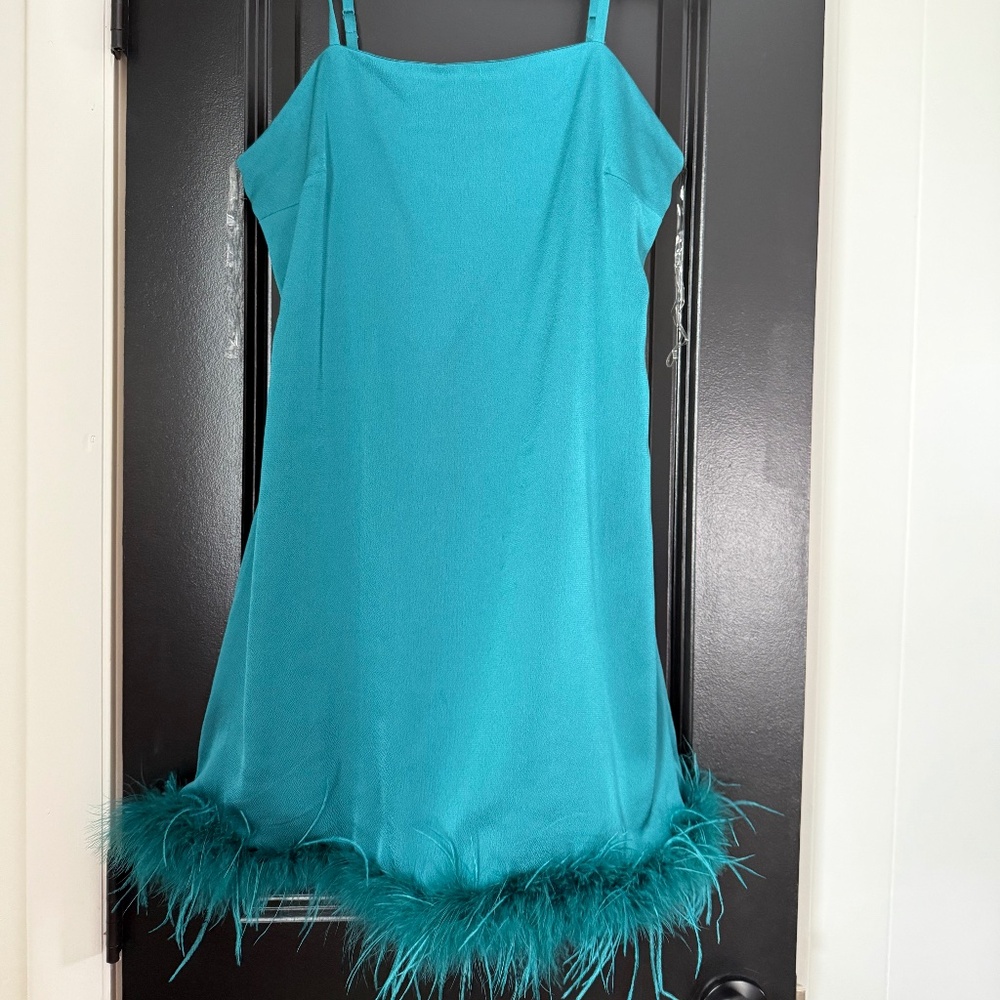 NWOT Dress